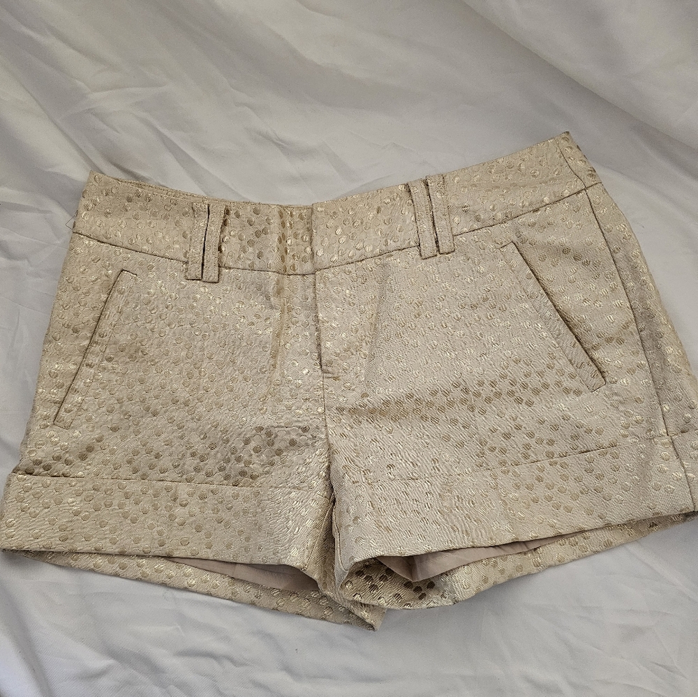 Elegant Cream Women's Shorts